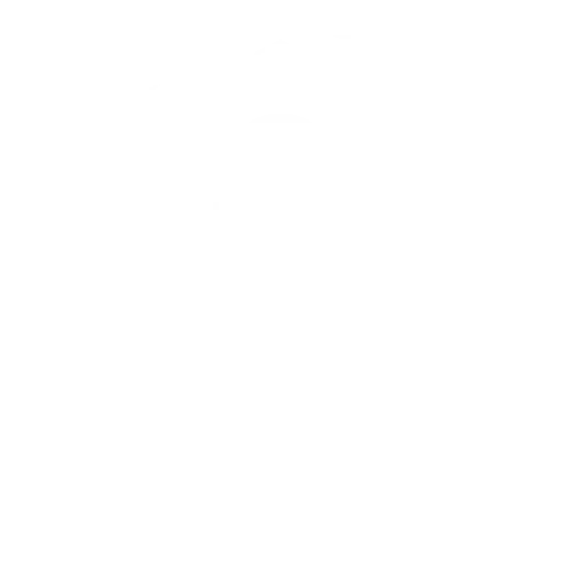 Seguridad Ares - Seguridad Integral