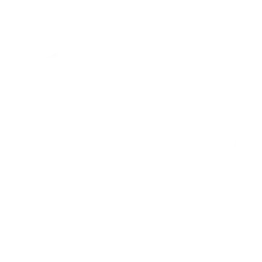 Servicio de  guardia de seguridad