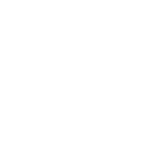 Seguridad Ares - Seguridad Integral